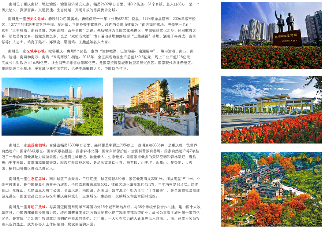 重庆南川网站优化哪家好 www.cqnc.gov.cn