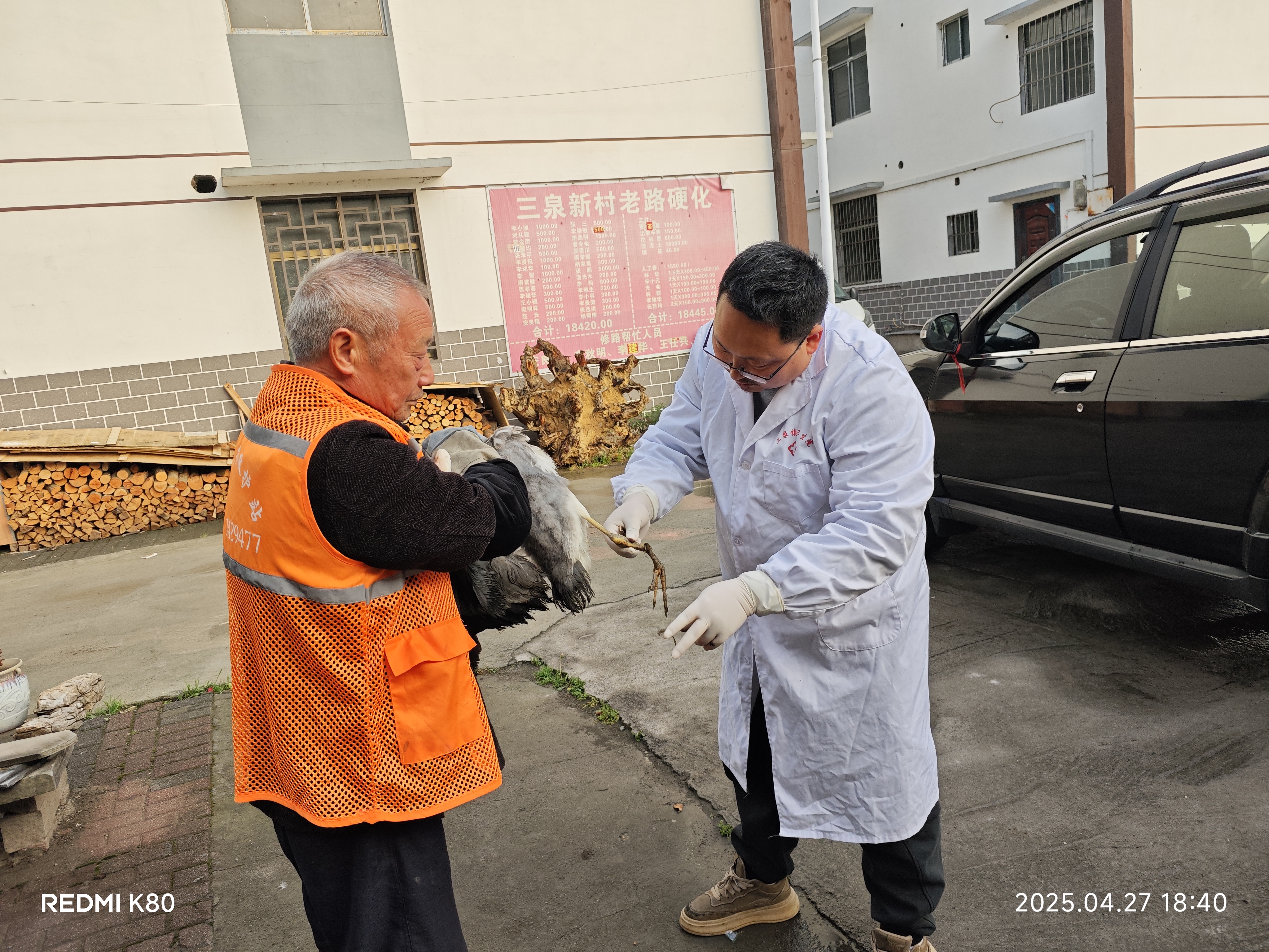 野生动物保护 (3).jpg