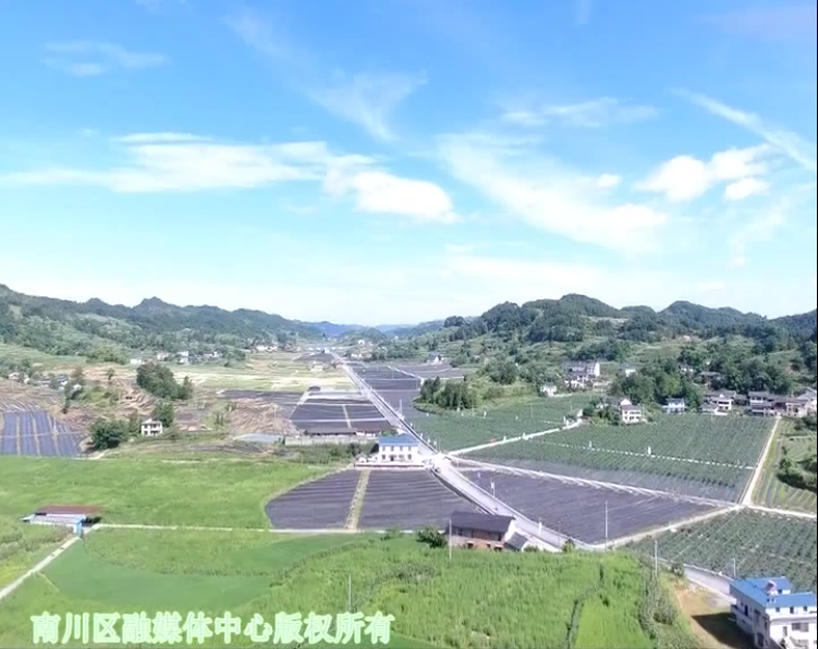 截图录屏_选择区域_20211209165133.png