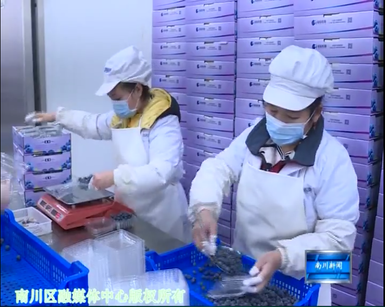 截图录屏_选择区域_20211209165205.png