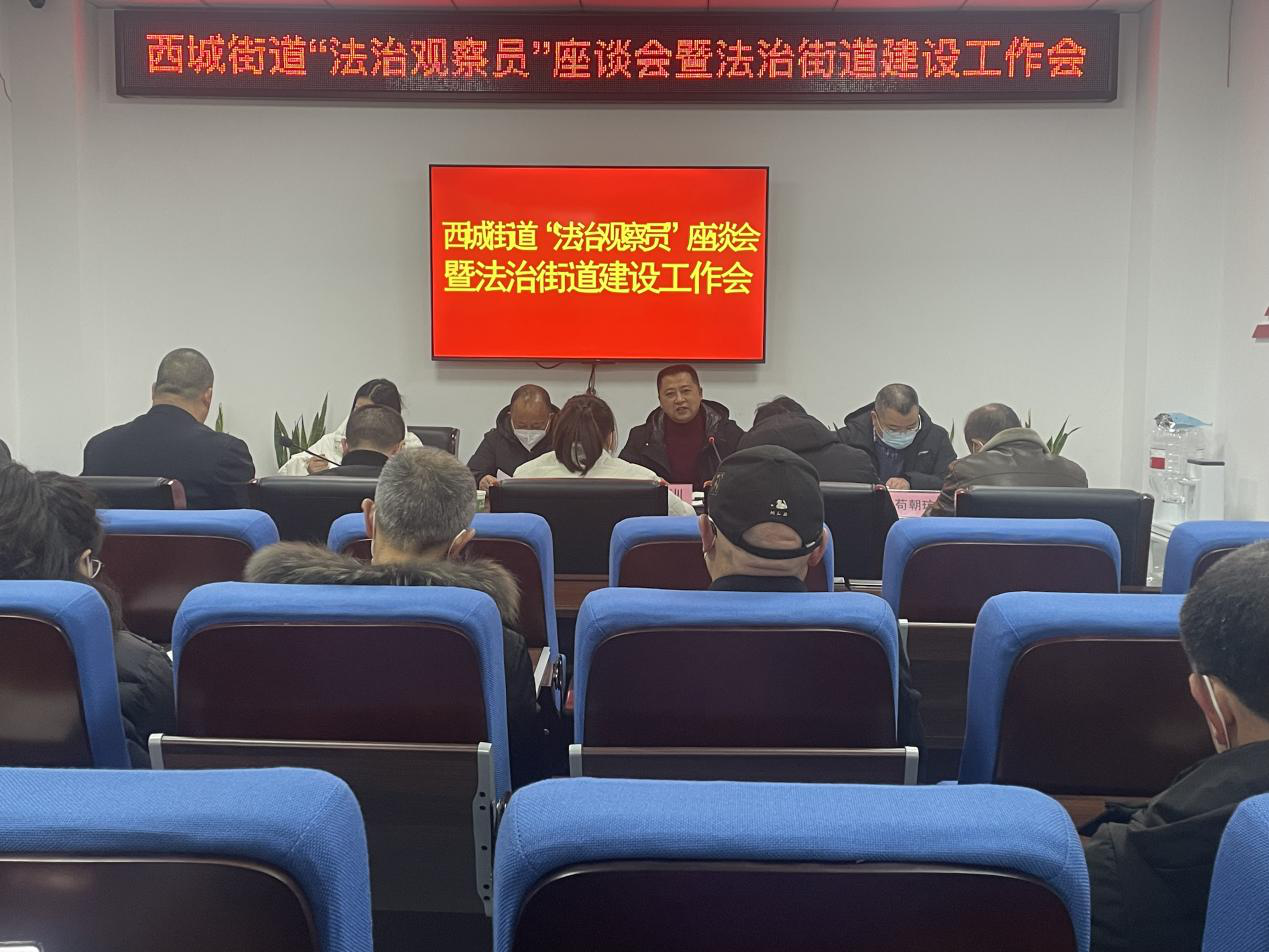 南川区分片区组织召开法治观察员座谈会.png